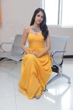 Lavanya Tripathi (72)_578fb5f87ffd0.jpg