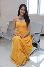 Lavanya Tripathi (73)_578fb5f93edb4.jpg