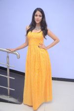 Lavanya Tripathi (82)_578fb5ff0279e.jpg