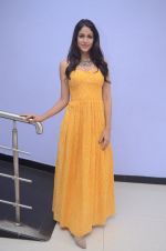 Lavanya Tripathi (86)_578fb60171f29.jpg