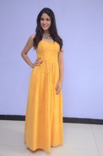 Lavanya Tripathi (98)_578fb6097abac.jpg