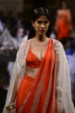 during Anamika Khanna showcase When Time Stood Still at the FDCI India Couture Week 2016 on 22 July 2016 (113)_57937c237c5cc.JPG