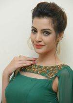 Diksha Panth Photoshoot (1)_579d9ffa65883.jpg