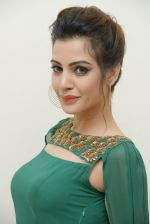 Diksha Panth Photoshoot (10)_579da04e775ac.jpg