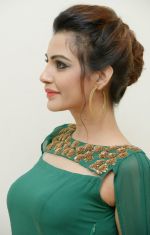 Diksha Panth Photoshoot (11)_579da05a0b119.jpg