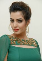 Diksha Panth Photoshoot (15)_579da07b21bab.jpg