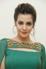 Diksha Panth Photoshoot (18)_579da09d0ae21.jpg