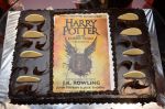 at Harry potter book launch in Mumbai on 2nd Aug 2016 (53)_57a16ed1cbe6a.JPG