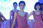 Model walk the ramp for IIJS show in Mumbai on 5th Aug 2016 (93)_57a56c6a0ccf9.JPG