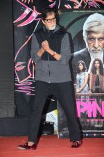 Amitabh Bachchan at Pink promotions in Umang fest on 17th Aug 2016 (114)_57b571ba607c3.JPG