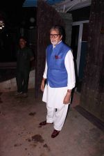 Amitabh Bachchan snapped in Juhu on 29th Aug 2016 (2)_57c54fb27d1a2.JPG