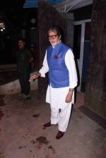 Amitabh Bachchan snapped in Juhu on 29th Aug 2016 (3)_57c54fb4801fb.JPG