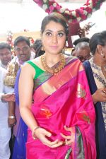 Raashi Khanna Inagurated R.S Brothers at Kothapet on 2nd Sept 2016 (346)_57c9a2080d28e.JPG