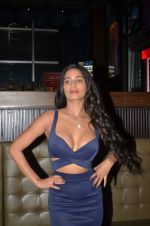 Poonam Pandey_s Short film The Weekend which is for mobile lovers on 12th Sept 2016 (5)_57d79f080e5e1.JPG