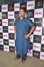 at Pink Screening in Sunny Super Sound on 12th Sept 2016 (14)_57d7a97df4049.JPG