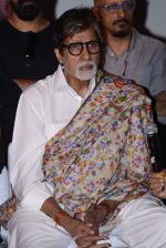 Amitabh Bachchan at Pink success meet on 19th Sept 2016 (19)_57e01ae29a7e5.JPG