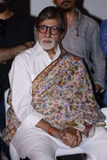 Amitabh Bachchan at Pink success meet on 19th Sept 2016 (33)_57e01aedd2e1e.JPG