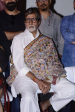 Amitabh Bachchan at Pink success meet on 19th Sept 2016 (34)_57e01aee909db.JPG