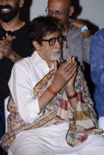 Amitabh Bachchan at Pink success meet on 19th Sept 2016 (35)_57e01aef3f1fc.JPG
