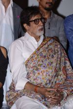 Amitabh Bachchan at Pink success meet on 19th Sept 2016 (87)_57e01af616c7a.JPG