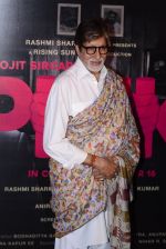Amitabh Bachchan at Pink success meet on 19th Sept 2016 (89)_57e01af7abdaa.JPG