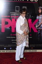 Amitabh Bachchan at Pink success meet on 19th Sept 2016 (92)_57e01afa0e2db.JPG