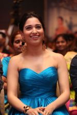 Tamannaah Bhatia (11)_57ebedd6e3e3b.jpg