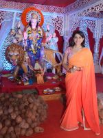 Sonali Kulkarni visited Worli Sarvajanik Navratra Mahotsav Mandal to blesing of Ma Durga at Worli on 8th Oct 2016 (4)_57fb46d494fd7.JPG