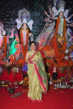 Sumona Chakravarti at Durga Pooja on 10th Oct 2016 (28)_57fb78703e810.JPG