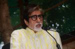 Amitabh Bachchan celebrates his birthday with media on 11th Oct 2016 (54)_57fdcd566dd8b.JPG