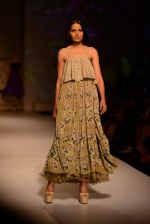 Model walk the ramp for Asheema Leena show on day 2 of AIFW on 14th Oct 2016 (17)_580213b1cb9ef.jpg