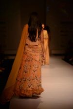 Model walk the ramp for Asheema Leena show on day 2 of AIFW on 14th Oct 2016 (30)_58021424e3d32.jpg