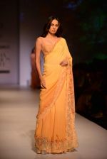 Model walk the ramp for Asheema Leena show on day 2 of AIFW on 14th Oct 2016 (31)_5802142b81dc4.jpg