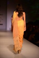 Model walk the ramp for Asheema Leena show on day 2 of AIFW on 14th Oct 2016 (32)_58021431b7791.jpg