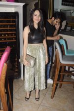 at The all new Sassy Spoon launch on 19th Oct 2016 (6)_58087481636a2.JPG