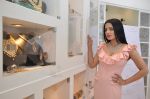  Celina Jaitley at the launch of a new jewellery line of designer Paulomi Sanghavi in Mumbai on 27th Oct 2016 (53)_58131a8727f10.JPG
