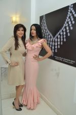  Celina Jaitley at the launch of a new jewellery line of designer Paulomi Sanghavi in Mumbai on 27th Oct 2016 (58)_58131a8b6af3a.JPG