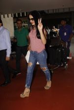 Celina Jaitley snapped at airport on 26th Oct 2016 (31)_5812f38123af8.JPG