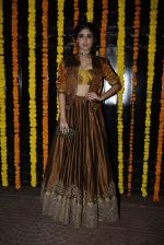 Kritika Kamra at Ekta Kapoor_s Diwali bash on 29th Oct 2016 (51)_5817426c94592.JPG