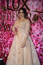 Sridevi at Lux Golden Rose Awards 2016 on 12th Nov 2016 (1036)_5828539adbd1a.JPG