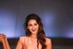 at Archana Kochhar fashion show in Mumbai on 25th Nov 2016 (5)_58396e768c4a0.jpg