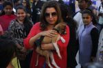 Farah Khan at pet adoption in Mumbai on 27th Nov 2016 (22)_583bdc2f52dce.jpg