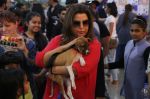 Farah Khan at pet adoption in Mumbai on 27th Nov 2016 (30)_583bdc357f271.jpg