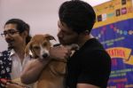 Sooraj Pancholi at pet adoption in Mumbai on 27th Nov 2016 (58)_583bdcaaafdb3.jpg