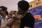 Sooraj Pancholi at pet adoption in Mumbai on 27th Nov 2016 (59)_583bdcab3968f.jpg