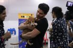 Sooraj Pancholi at pet adoption in Mumbai on 27th Nov 2016 (65)_583bdcae6f202.jpg