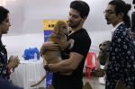 Sooraj Pancholi at pet adoption in Mumbai on 27th Nov 2016 (67)_583bdcaf73c8a.jpg
