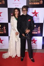 Shweta Nanda, Amitabh Bachchan at 22nd Star Screen Awards 2016 on 4th Dec 2016 (167)_5845399c107ca.JPG