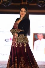 Aarti Surendranath walk for Lakshyam show at Brand of the Year Awards on 21st Dec 2016 (126)_585b8b316ad26.JPG