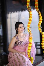 Raashi Khanna (1)_587db63dcc38b.jpg